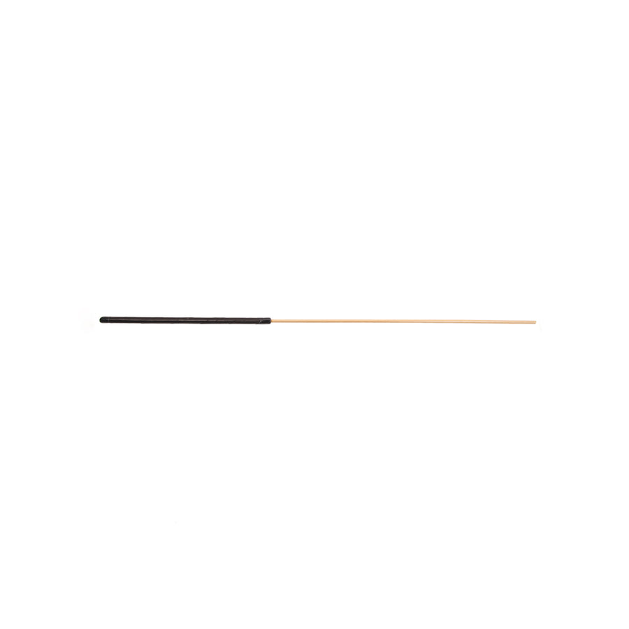 K10 Junior Dragon Cane Black Lambskin Handle