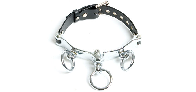 BC101 Chrome Collar