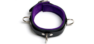 BC31 Purple Padded Collar