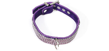 BC54 Ultimate Crystal Purple Elegance Collar 1 Ring