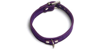 BC61 Purple Elegance Collar 1 Ring