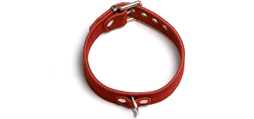 BC62 Red Elegance Collar 1 Ring