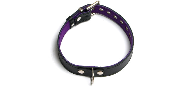 BC71 Purple Classic Collar 1 Ring
