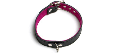 BC73 Pink Classic Collar 1 Ring