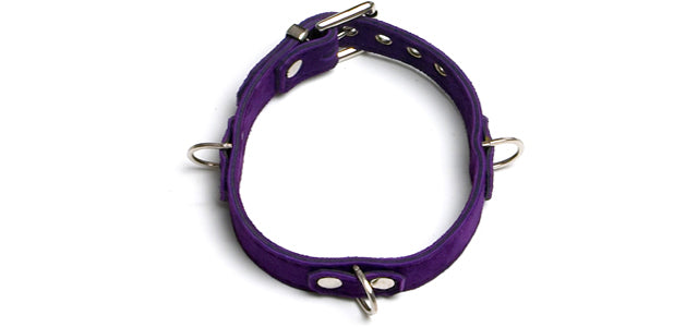 BC81 Purple Elegance Collar 3 Rings