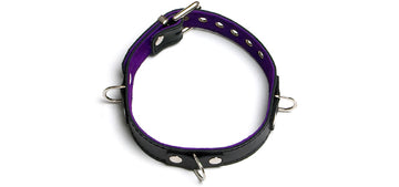 BC91 Purple Classic Collar 3 Rings