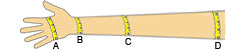 MEASURING GUIDE FOR FULL LENGTH GLOVES