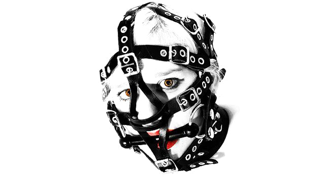 HH1 Head Harness